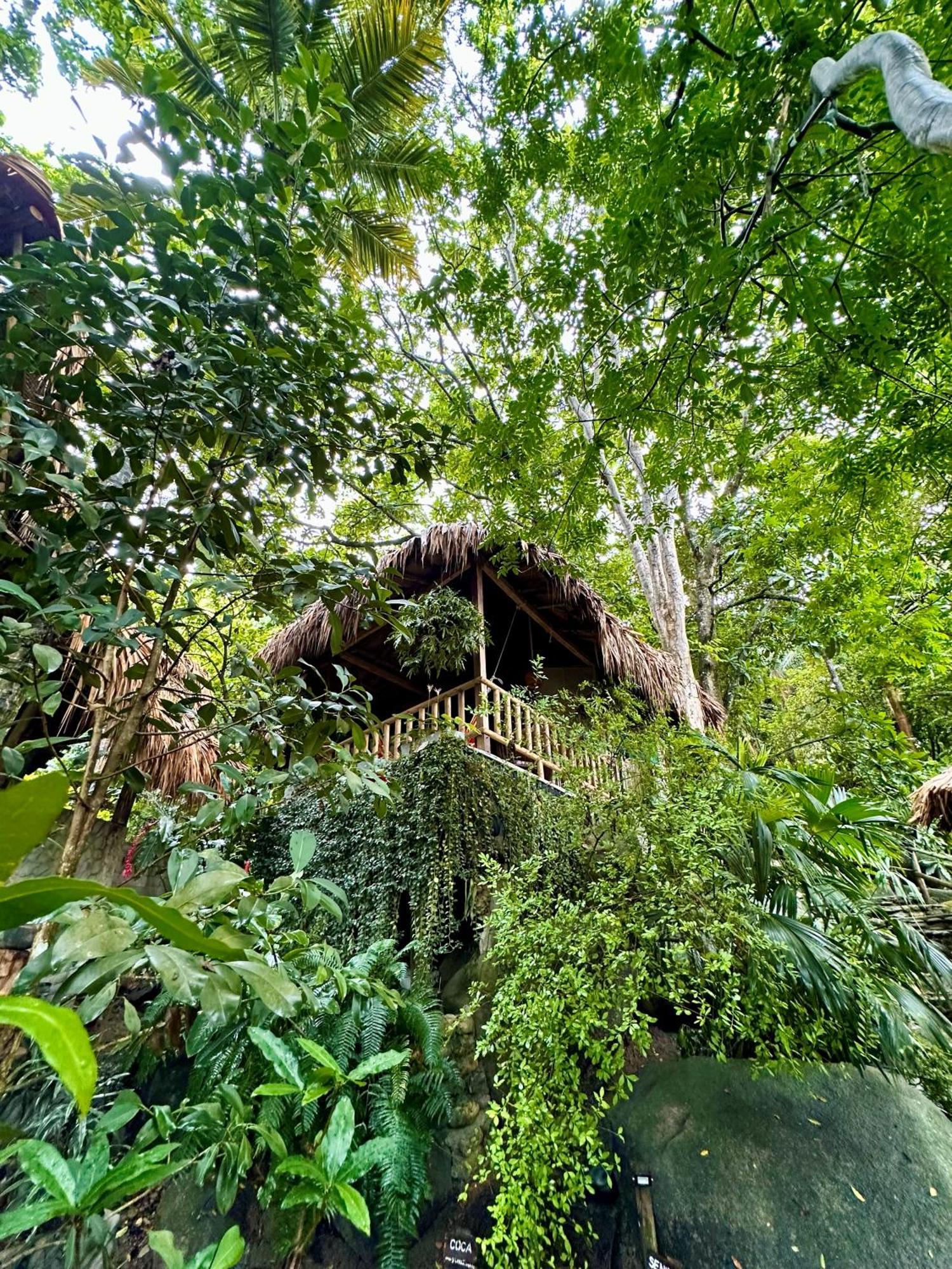 Eco Hostal Yuluka El Zaino Εξωτερικό φωτογραφία
